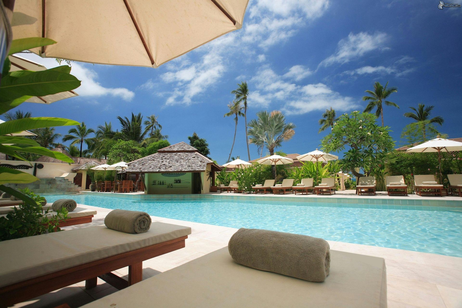 Outdoor swimming pool with lounge chairs, umbrellas, and palm trees under a clear blue sky.